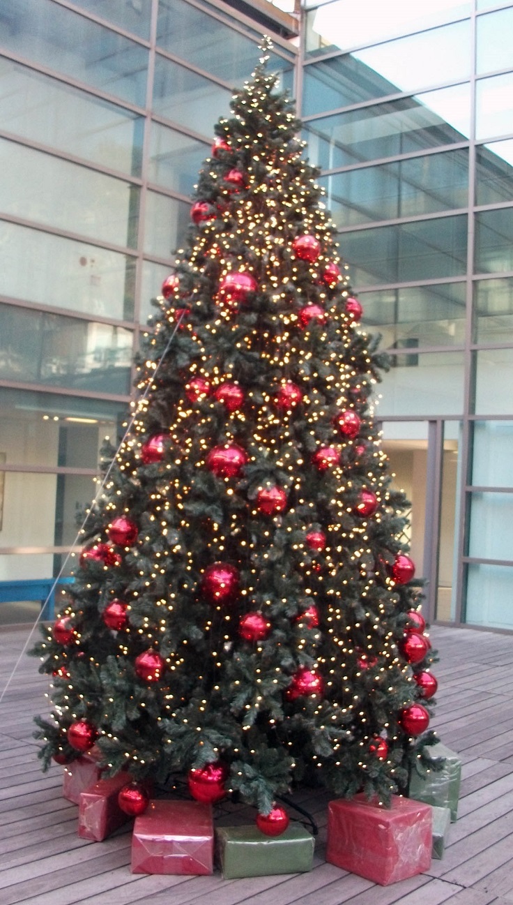 DSCF5607.JPG