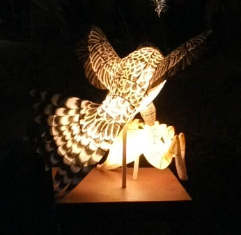 DSCF3235.JPG