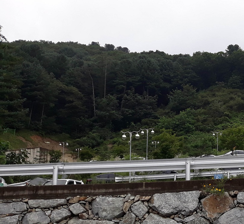 20200829_134843 - 복사본.jpg