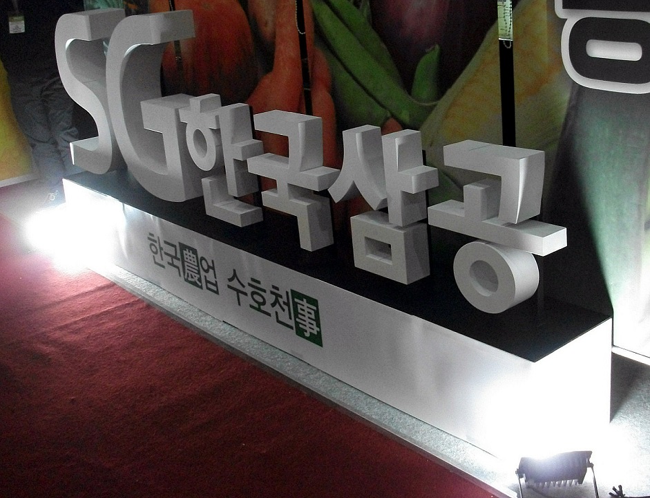 DSCF2507.JPG