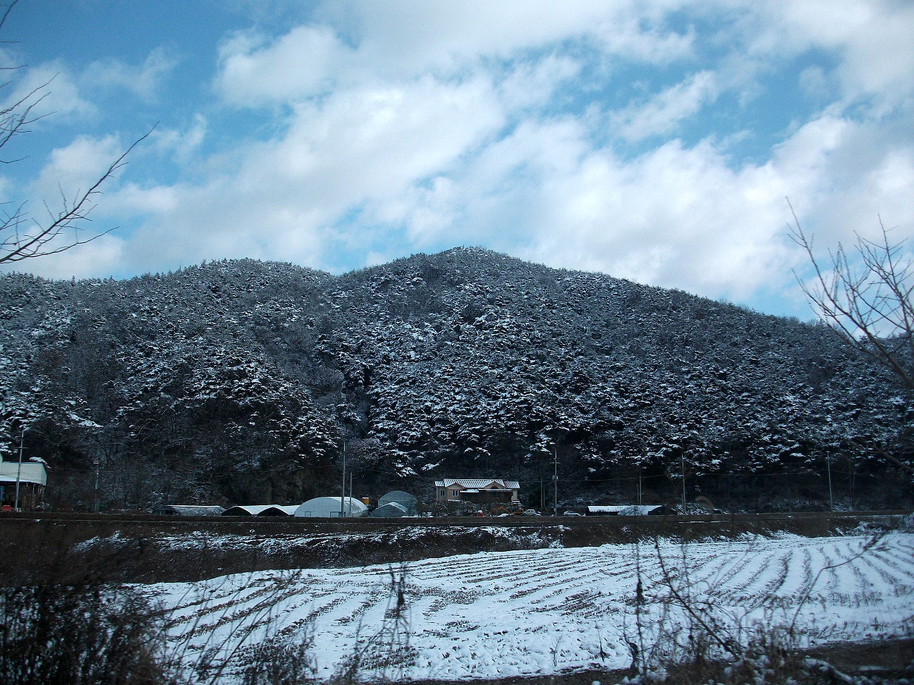 DSCF4279.JPG
