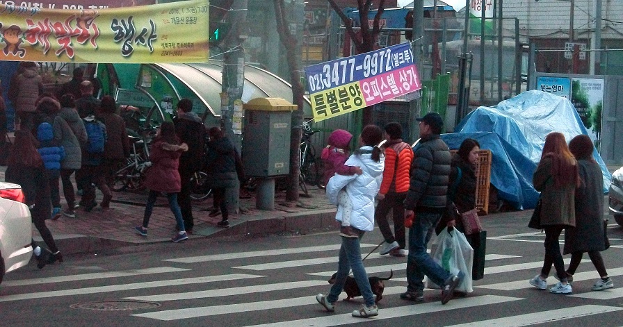 DSCF4701.JPG
