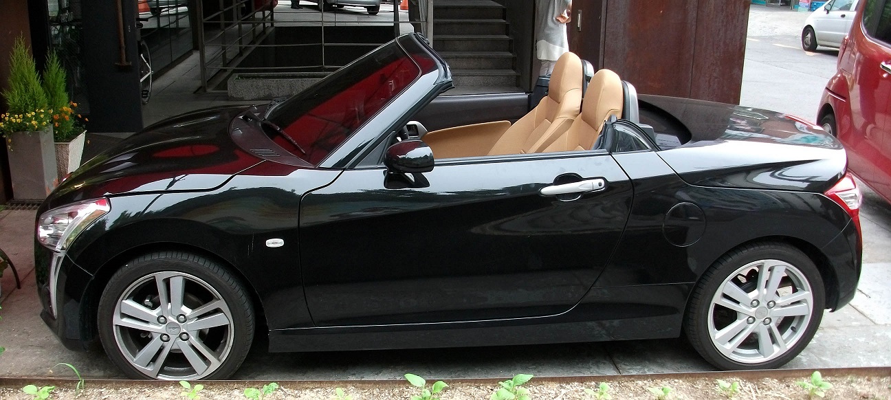 DSCF0550.JPG