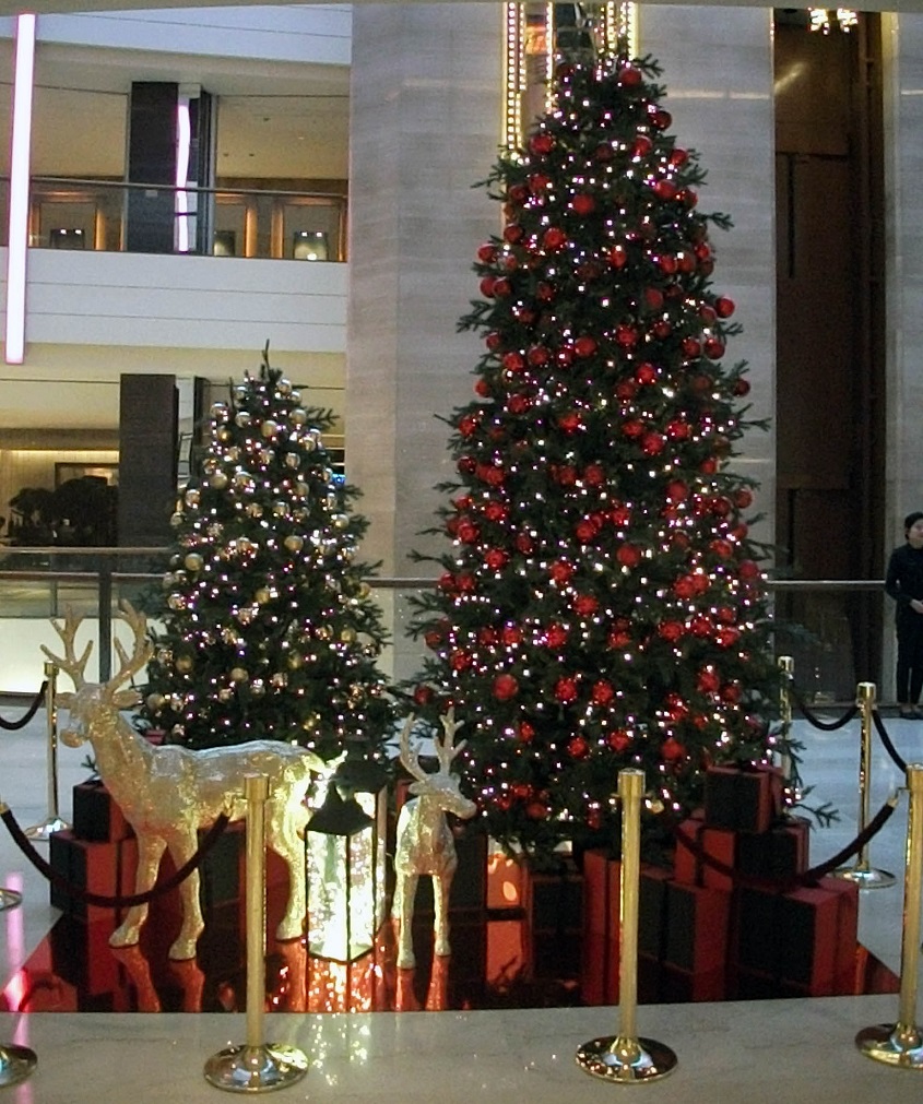 DSCF7710.JPG