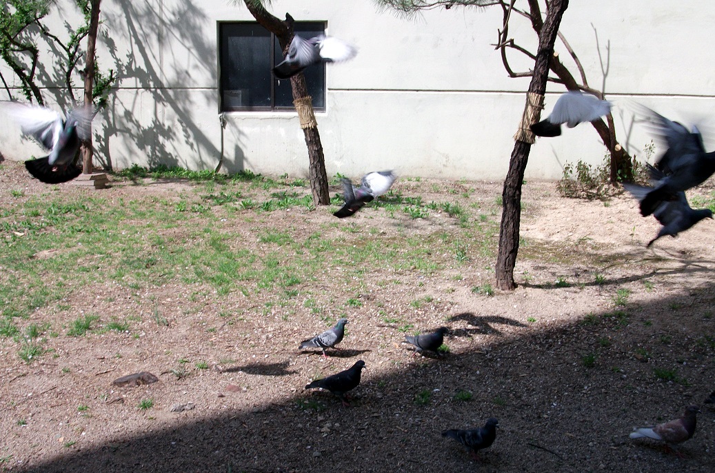 DSCF8751.JPG