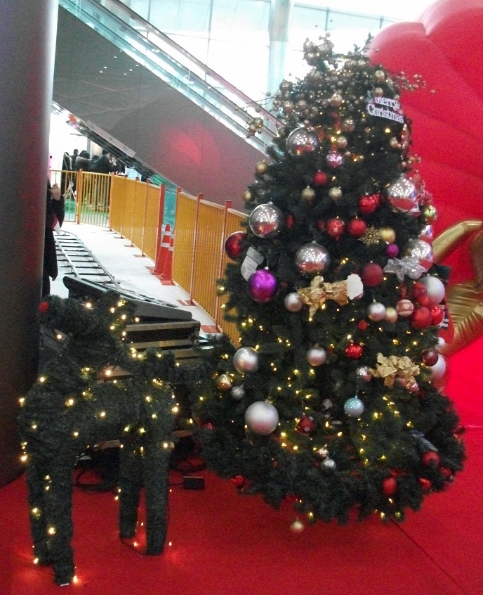 DSCF7255.JPG