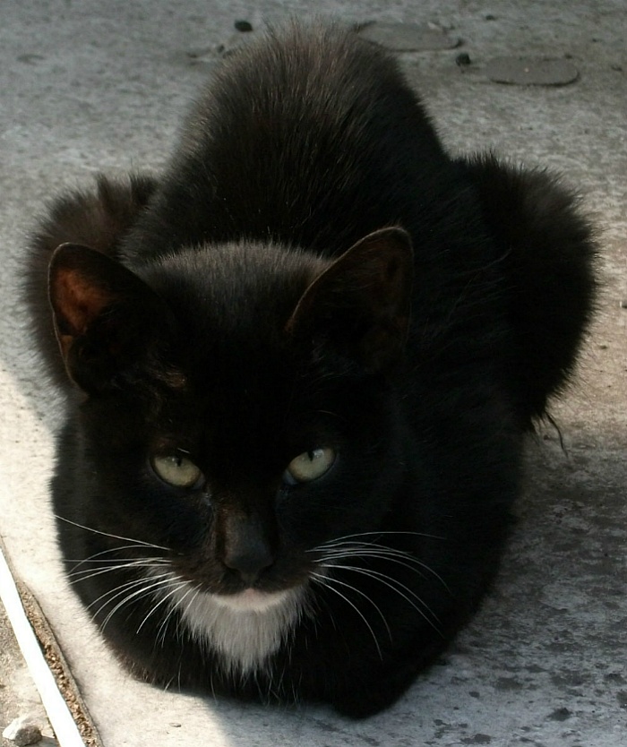 DSCF6174.jpg