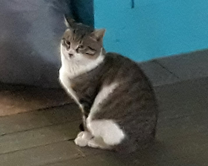 20191214_201409.jpg