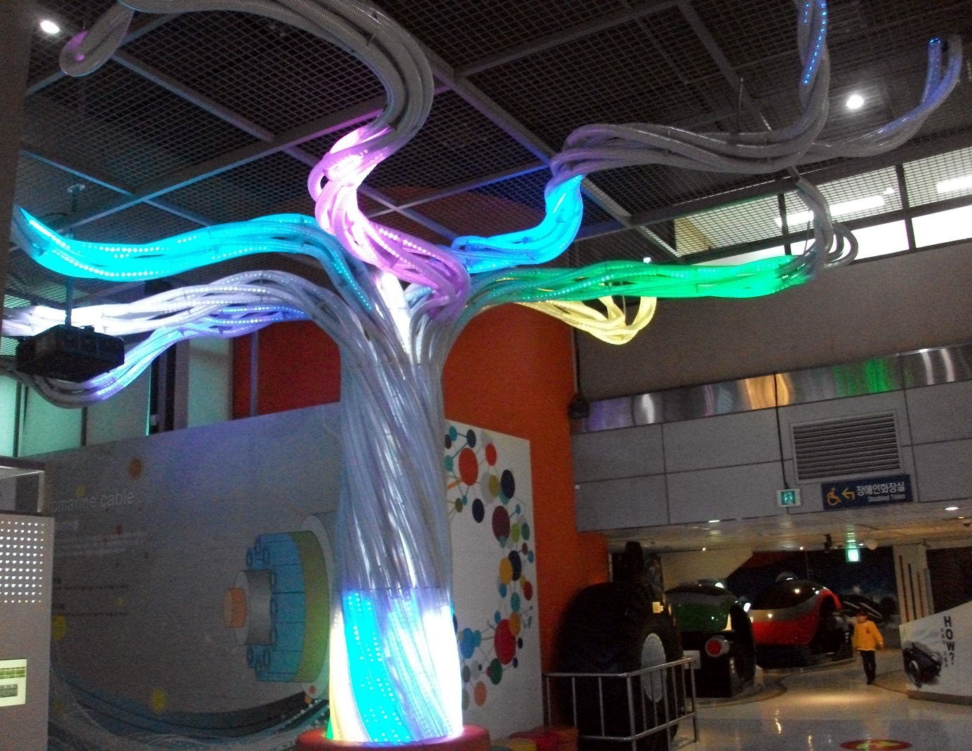 DSCF2482.JPG