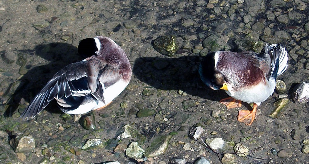 DSCF3424.JPG