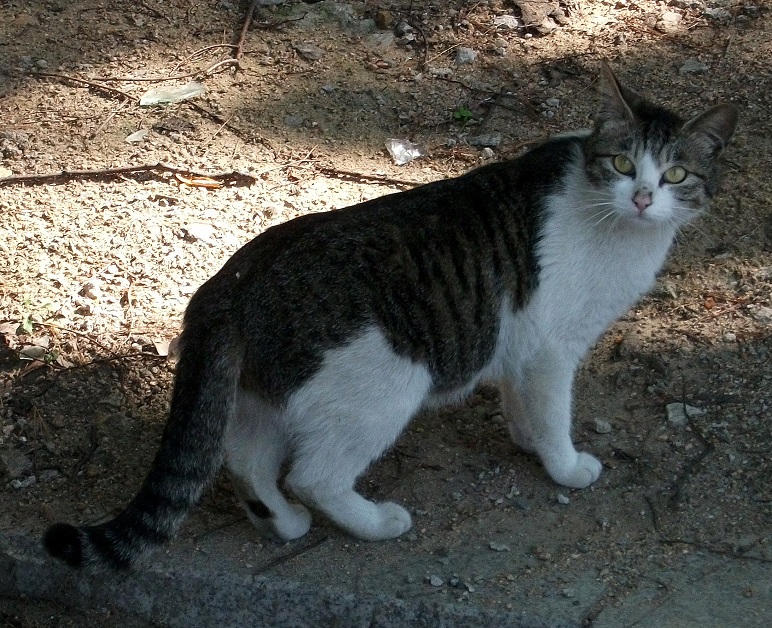 DSCF4018.JPG