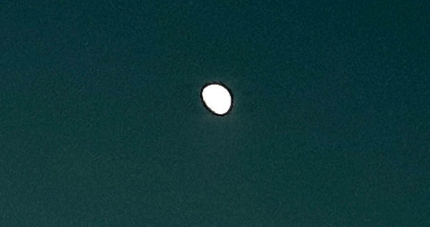 20190117_174103.jpg