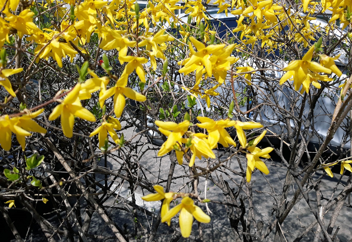 20190404_135623.jpg