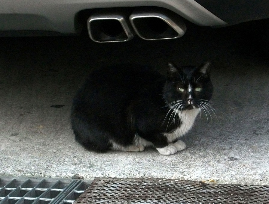 DSCF7633.JPG