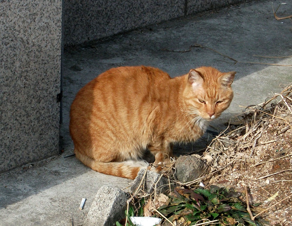 DSCF7634.JPG