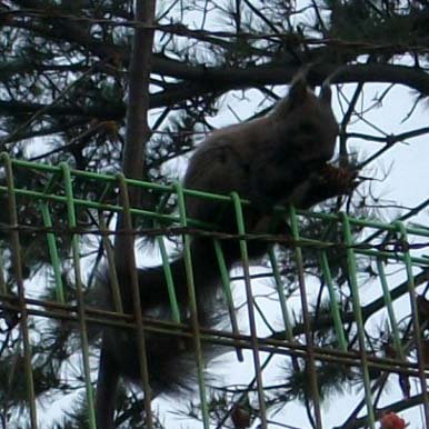 DSCF2739.JPG