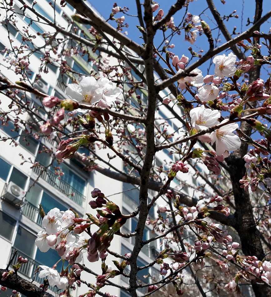 20190404_135616.jpg