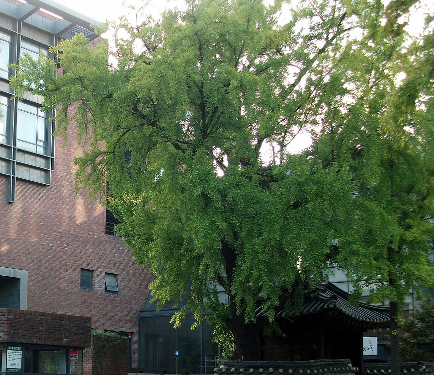 DSCF0754.JPG