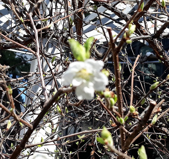 20190404_145603.jpg