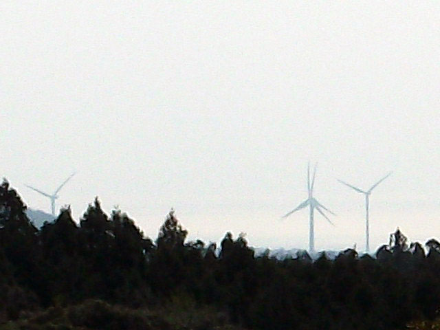 DSCF6903.JPG