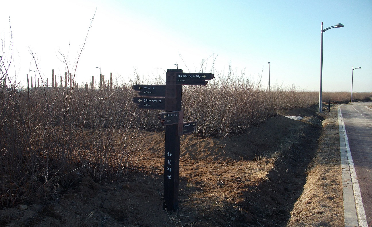 DSCF8524.JPG