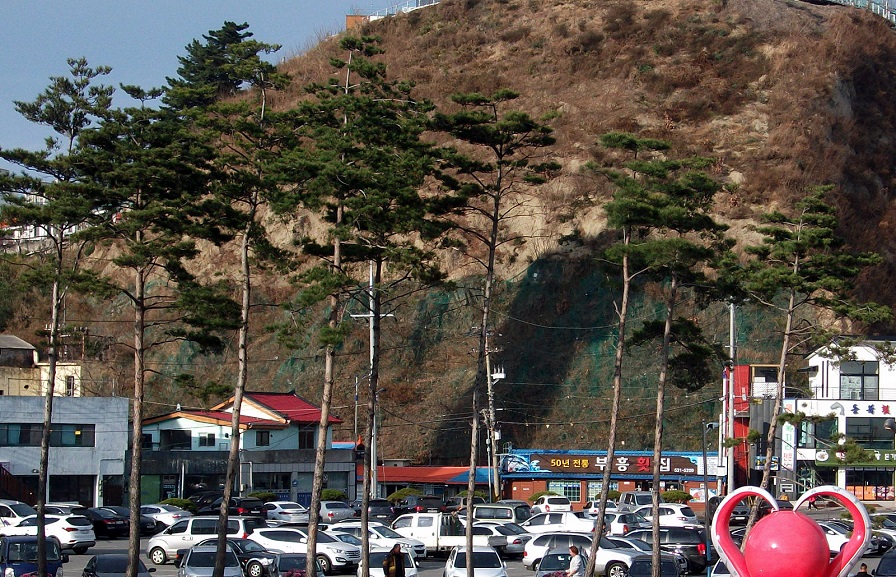 DSCF7137.JPG