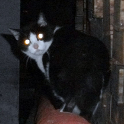 DSCF6920.JPG