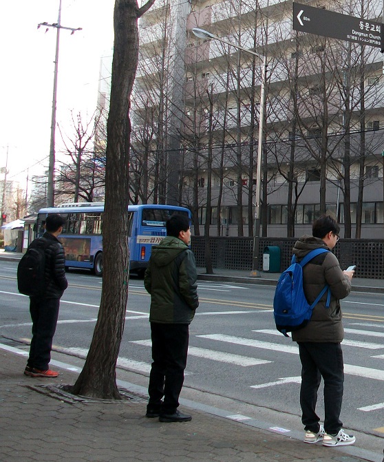 DSCF6866.JPG