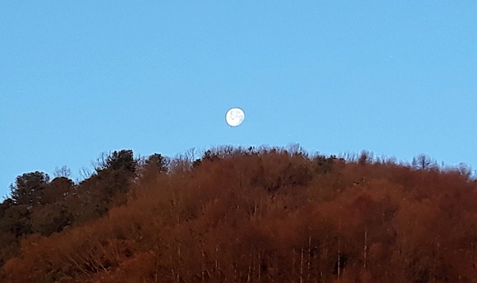 20210102_080648.jpg