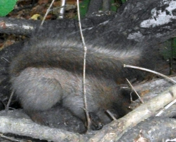 DSCF9411.JPG