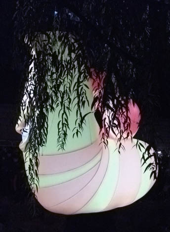 DSCF3275.JPG