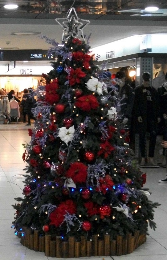 DSCF5265.JPG