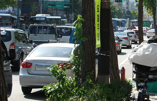 DSCF7390.JPG