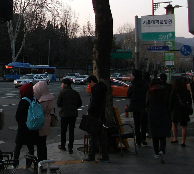 DSCF6882.JPG