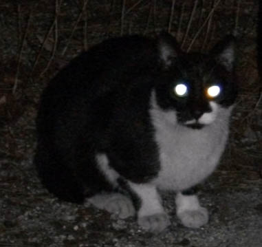 DSCF7846.JPG