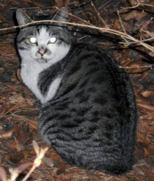 DSCF7838.JPG