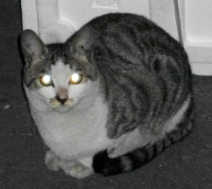 DSCF7842.JPG