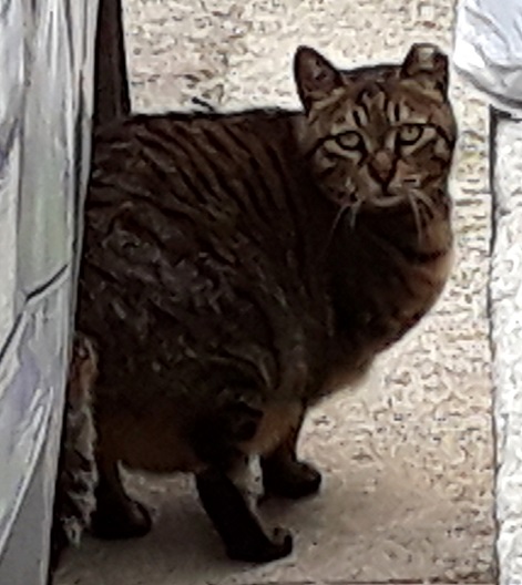 20180520_151405.jpg