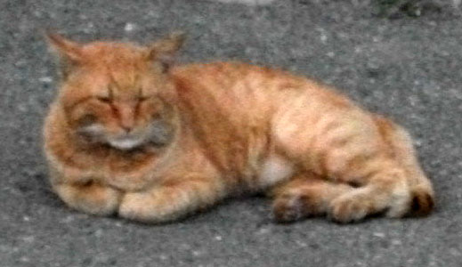 DSCF3340.JPG