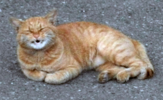DSCF3339.JPG