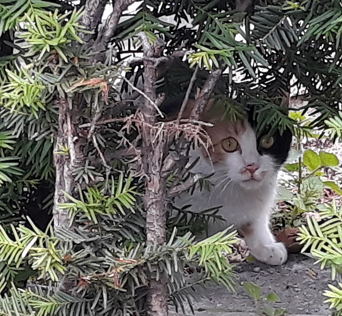 20180520_133434.jpg
