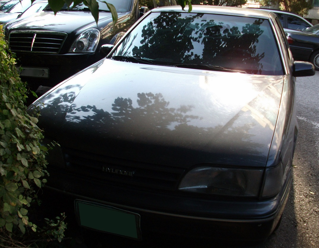 DSCF0055.JPG