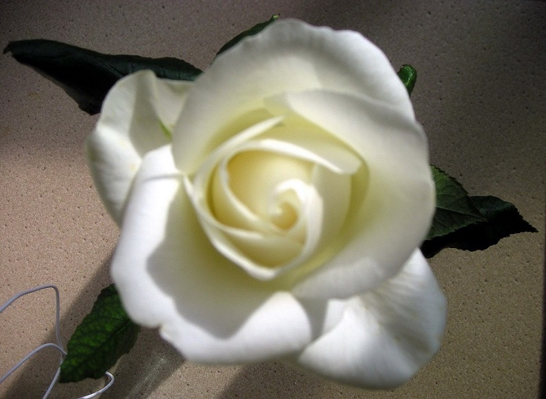 DSCN1876.JPG