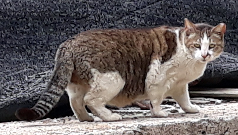 20180520_145052.jpg