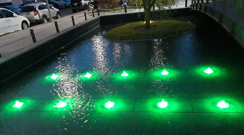 20190518_200419.jpg