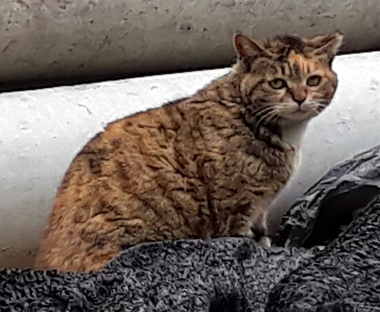 20180520_145059.jpg