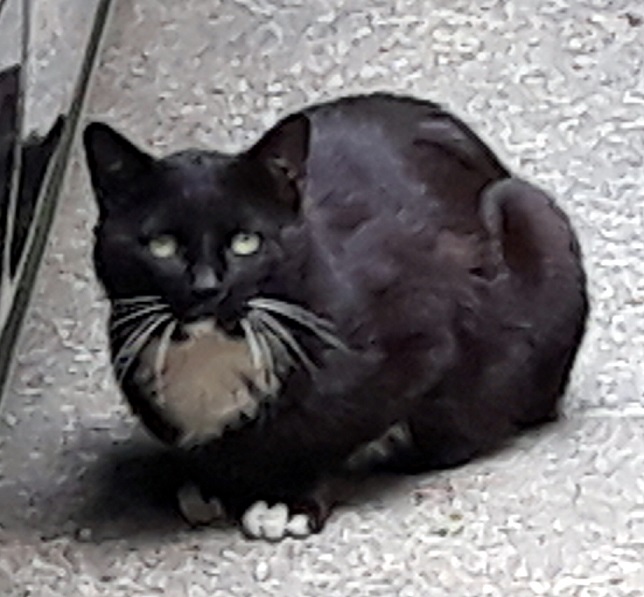20180520_145206.jpg