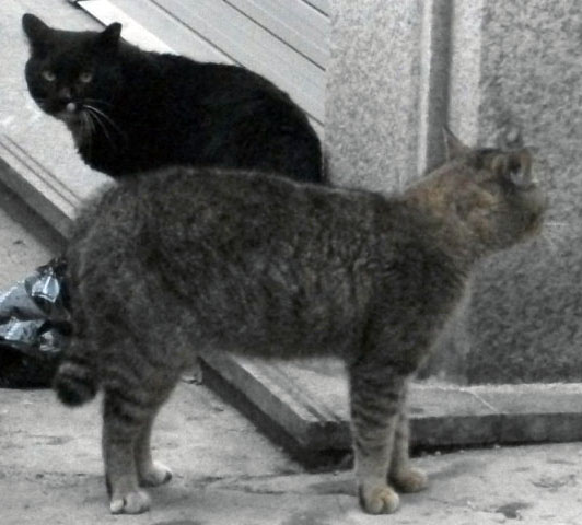 DSCF0193.JPG