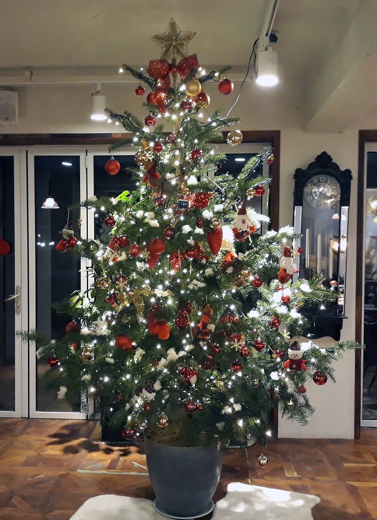 20201202_174810.jpg