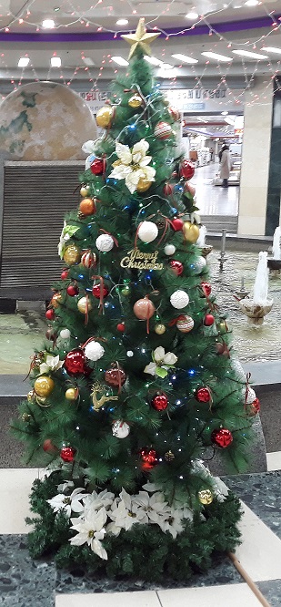 20201218_111417.jpg